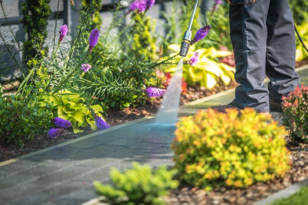 Best Pool Deck Cleaning  in Cody, WY